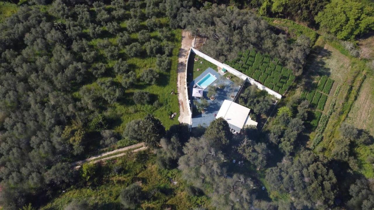 Villa Gardiki For2 Halikounas Extérieur photo